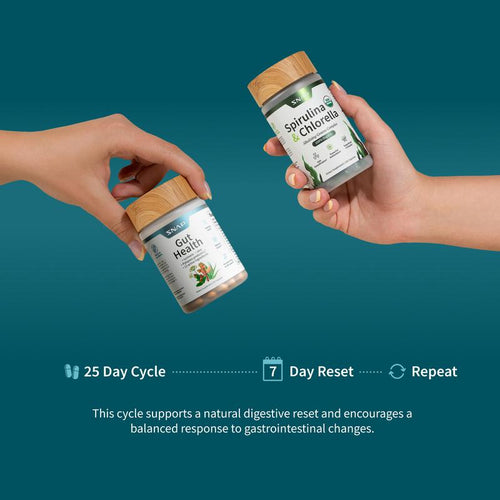 Snap Gut Health Supplement