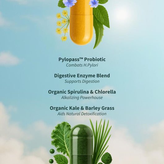 Snap Gut Health Supplement