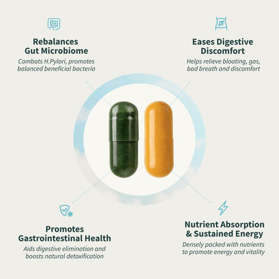 Snap Gut Health Supplement